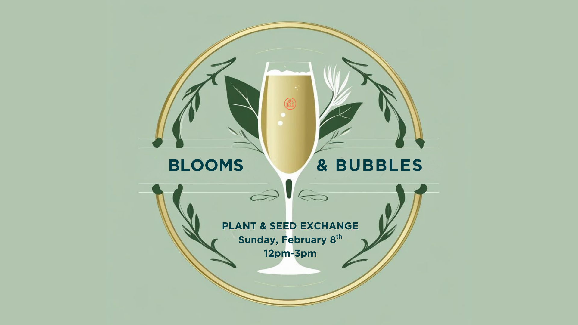 Blooms & Bubbles