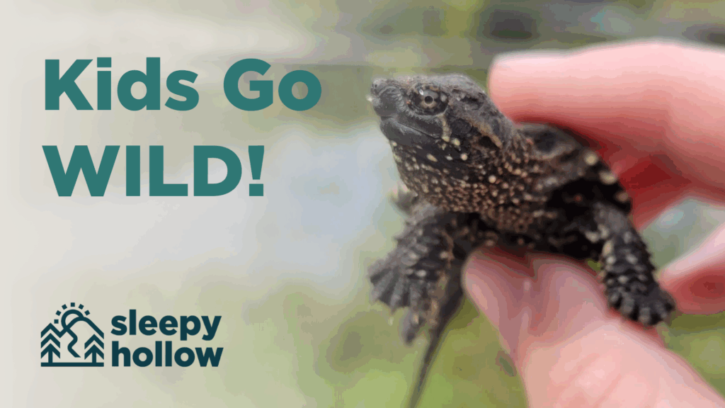 Kids Go WILD! Spring Break at Sleepy Hollow